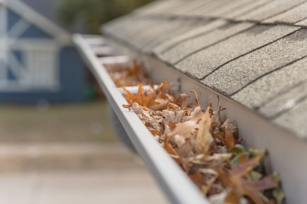Leaf Barrier Installation in Fairfax